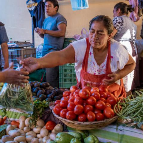 Trabajos formales ofrecen ingresos un 78% mayores que los informales: experto