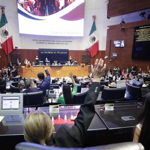 Senado de la República