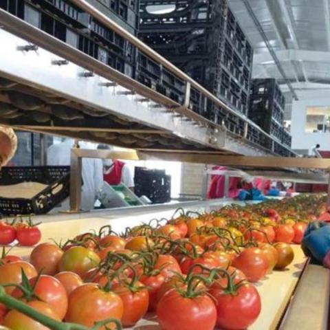 Agroindustria
