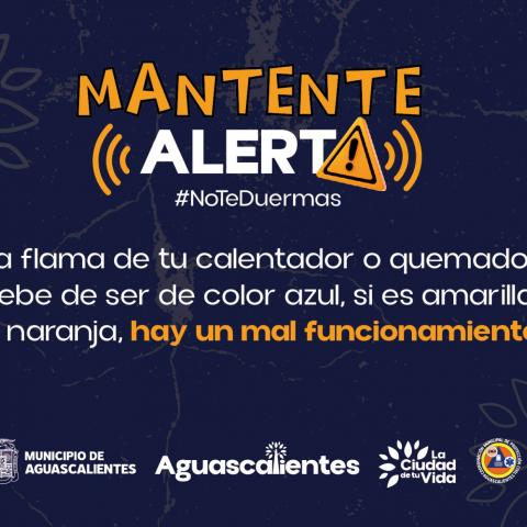 campaña 