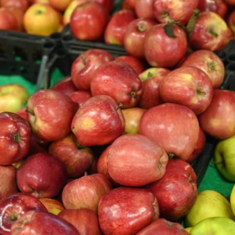 Bajas ventas en el Agropecuario de Aguascalientes afectan a agricultores y comerciantes
