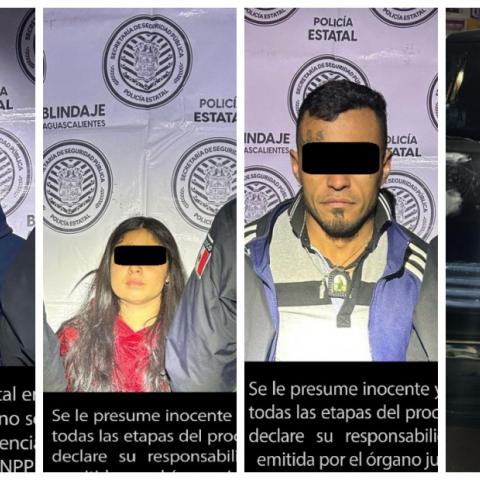 distribuidores