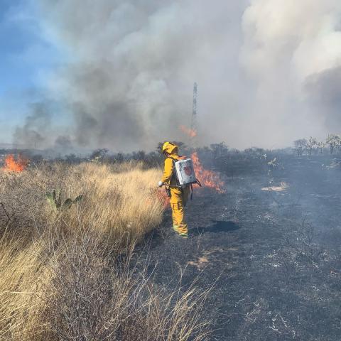 Con mega incendios forestales, se perdió lo equivalente a 8 veces la extensión de la UAA 