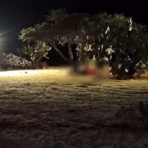El hallazgo ocurrió en la Comunidad Francisco Sarabia en el Municipio de El Llano