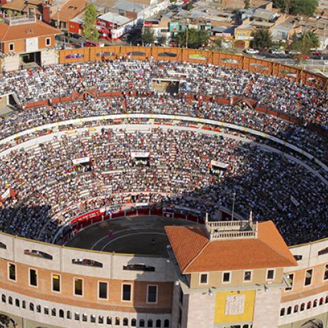 Tauromaquia