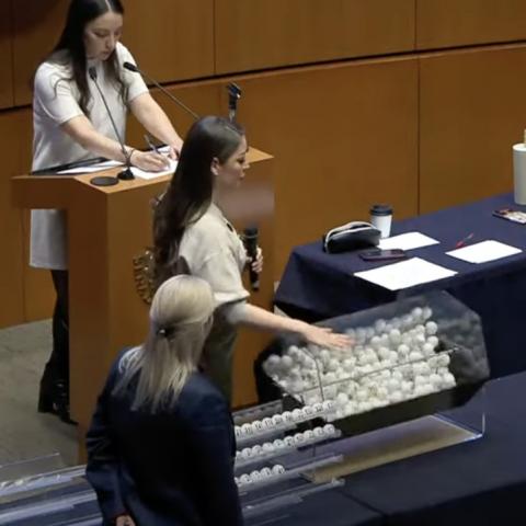Elección Judicial