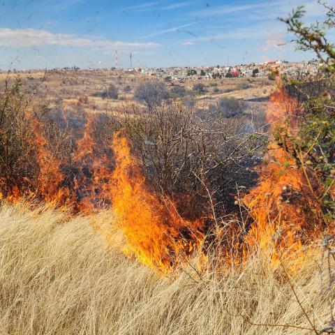 Incendio en Aguascalientes 