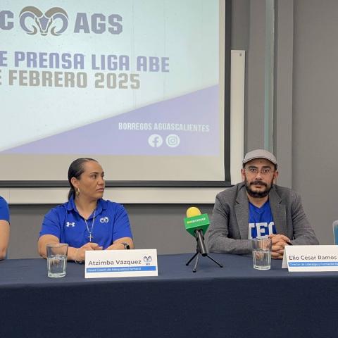 BORREGAS AGUASCALIENTES