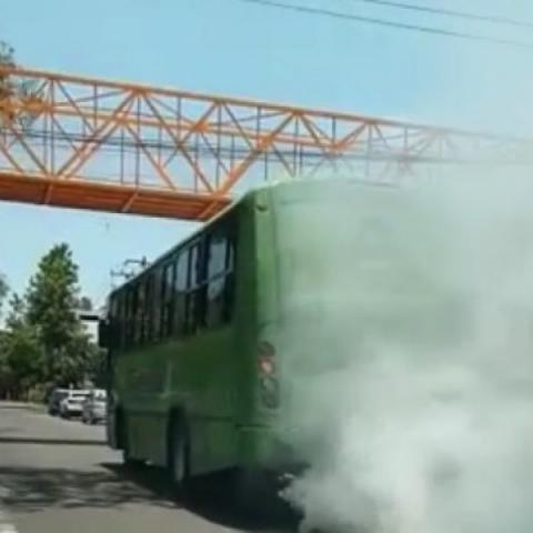 contaminación
