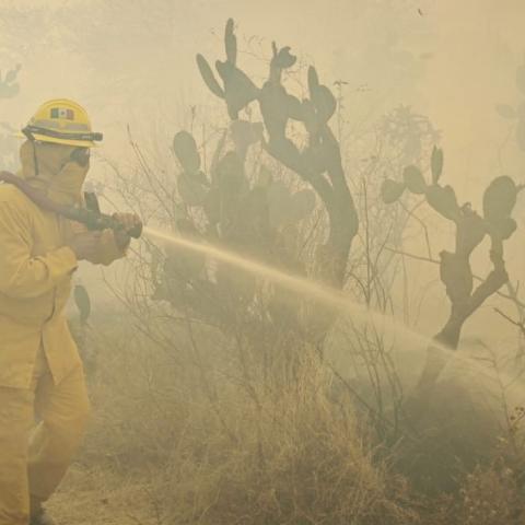 Todos ellos están ubicados al sur-poniente de la ciudad y ya están los bomberos en el lugar