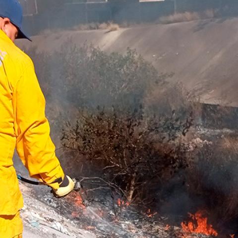 Incendios en Aguascalientes 