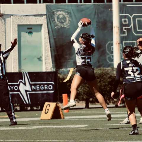 Torneo Interestatal de la Liga Mexicana de Tocho