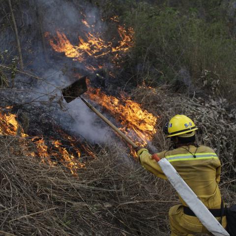 Descarta PROESPA que incendios provocados sean para fraccionar; son área protegida, agregan