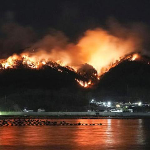 Incendio forestal
