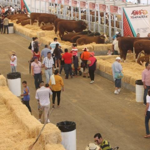 Expo Ganadera