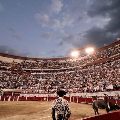 Corridas de Toros