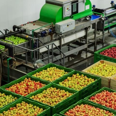Industria Alimentaria