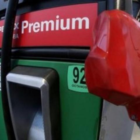 gasolina