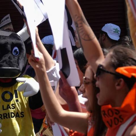 Manifestaciones
