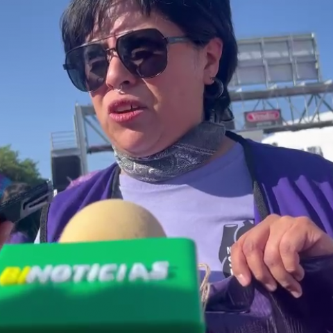Mariana Ávila Montejano, Pdta. Observatorio de Violencia Social y de Género en Aguascalientes 