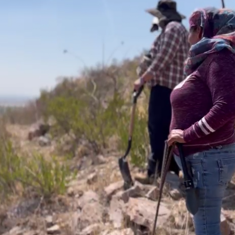 Colectivo Buscando Personas, Verdad y Justicia de Aguascalientes 