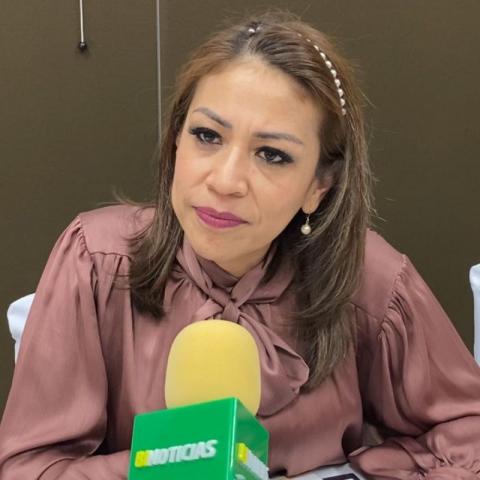 Hay casos donde sólo hay un aspirante por candidatura: IEE sobre elección judicial del Estado