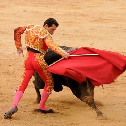 PVEM presenta propuesta de corridas de toros sin violencia en Aguascalientes
