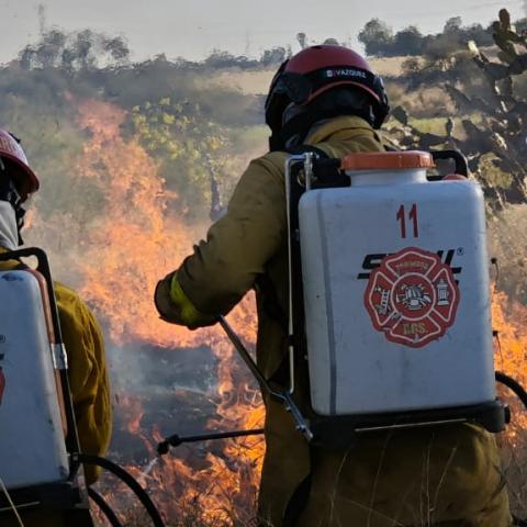 Incendios en Aguascalientes 