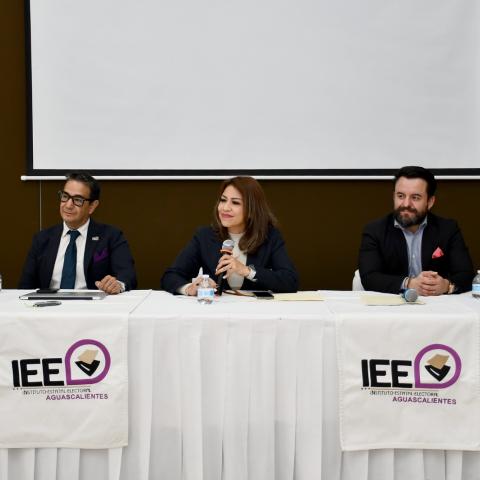 Instituto Estatal Electoral de Aguascalientes 