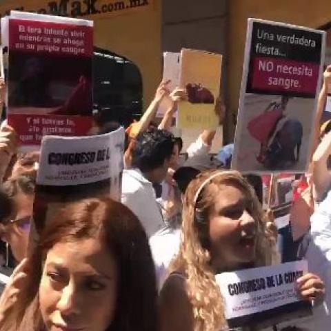 Manifestaciones 