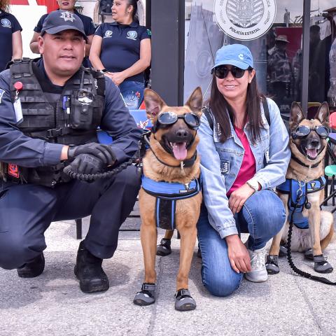 Policía Estatal 