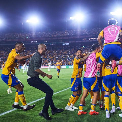 TIGRES CONCA