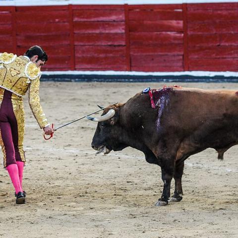 Corridas de toros