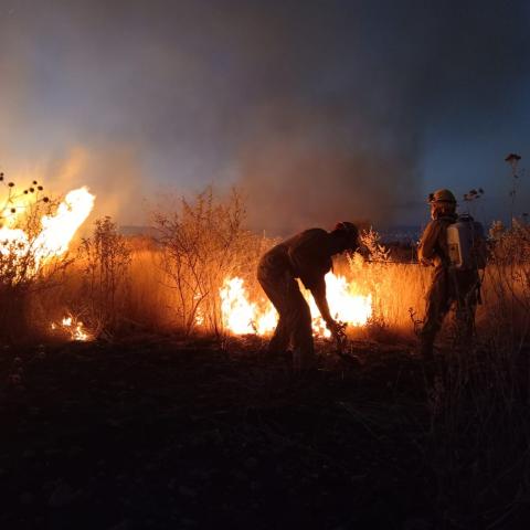 Aguascalientes, entre las entidades más afectadas por los incendios forestales: Conafor