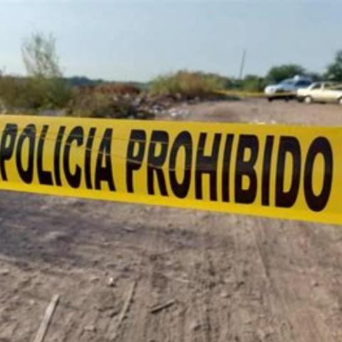 Sinaloa
