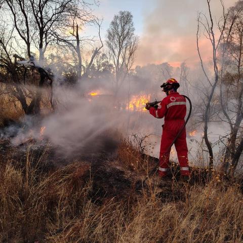 Bombero en labores
