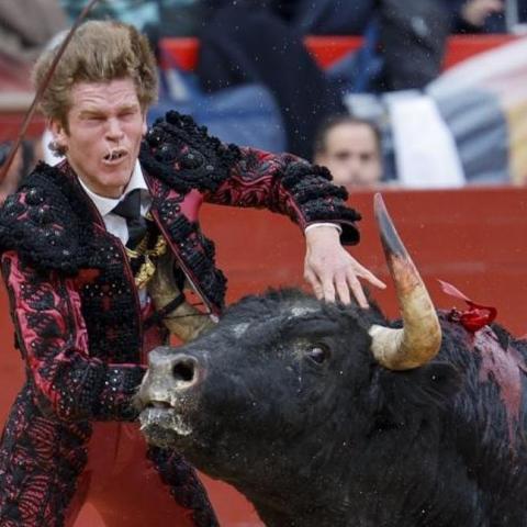 Corridas de Toros