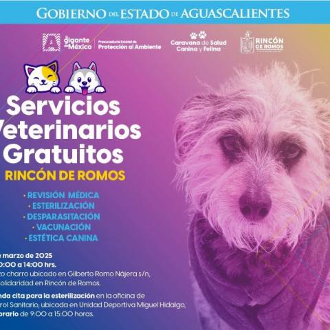 Caravana de la Salud Canina y Felina
