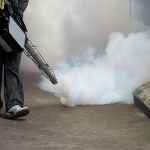 Servicio de fumigación contra mosquito del dengue aumentaría 35% en temporada de lluvia
