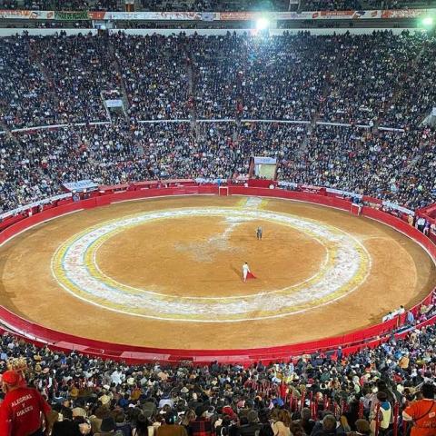 corridas sin maltrato animal 
