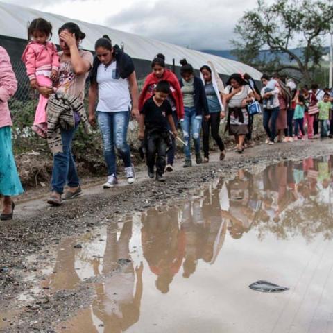 desplazamiento por crimen organizado 