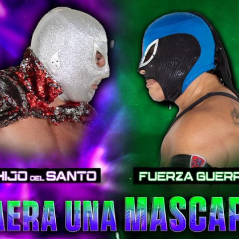  Lucha libre mexicana
