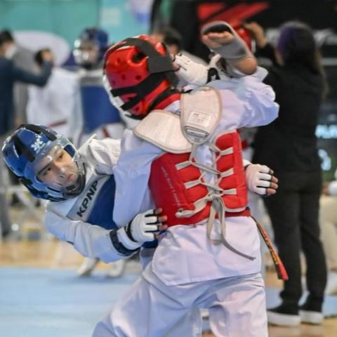 Taekwondo