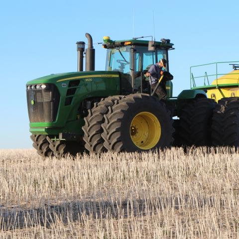 Productores de Calvillo optan por dejar de exportar a Estados Unidos