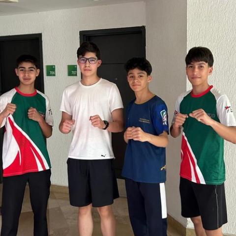 Panamericano Open  de TKD