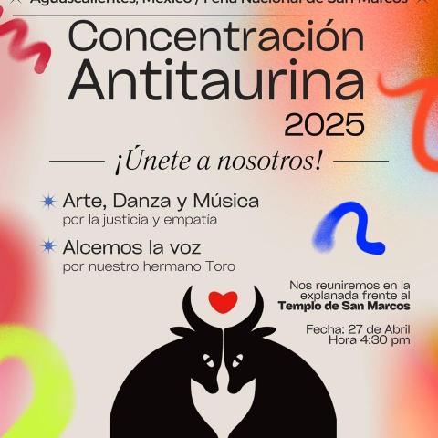En pie manifestación pacifica antitaurina este domingo; animalistas se deslindan de actos de violencia