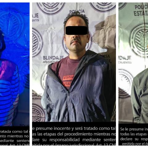 distribuidores