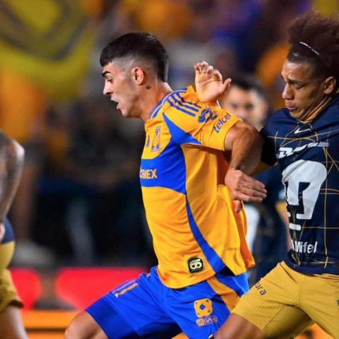 TIGRES VS PUMAS 2025