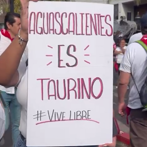 Manifestación a favor de actividades taurinas en la FNSM 2025 