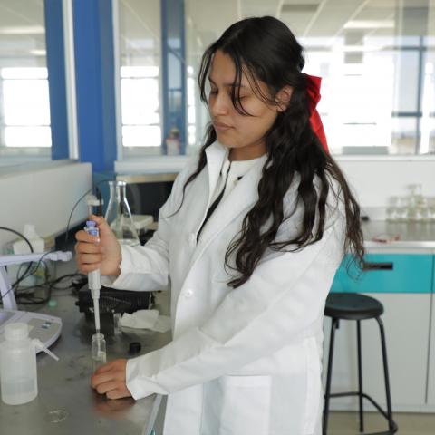 Estudiante 